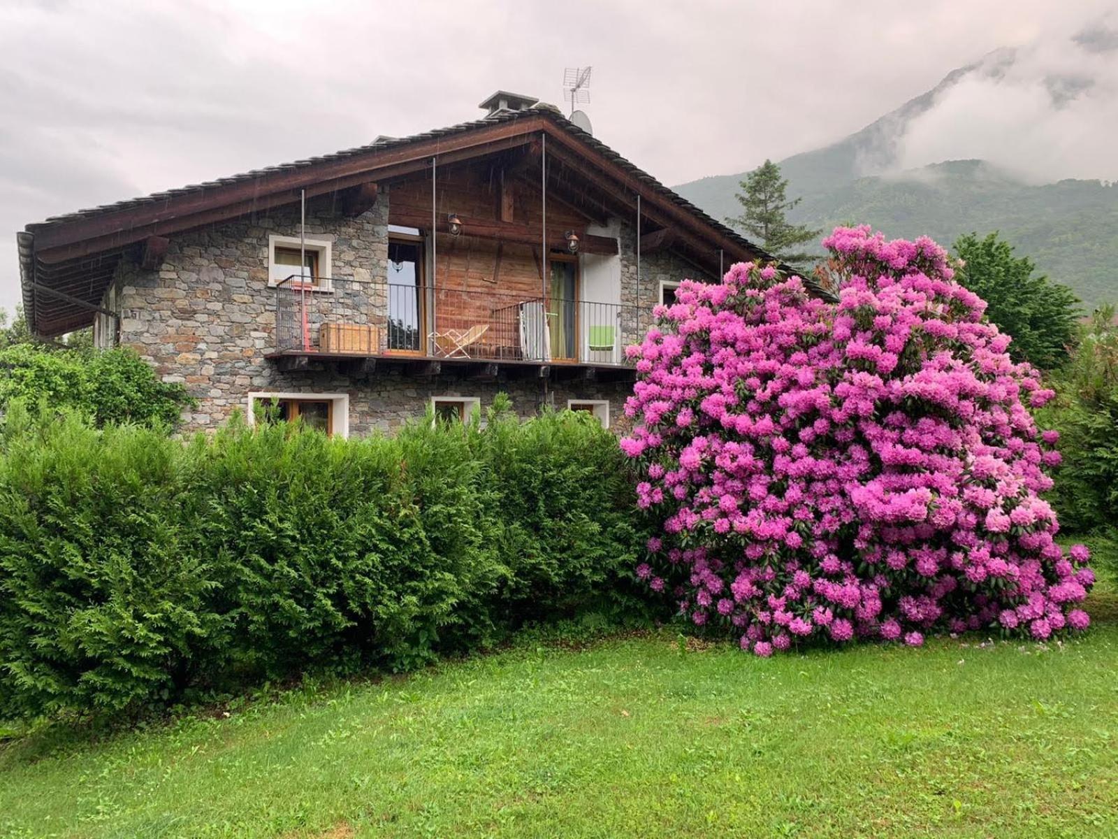 Casa Unica- Da Bruno Apartamento Colico Exterior foto